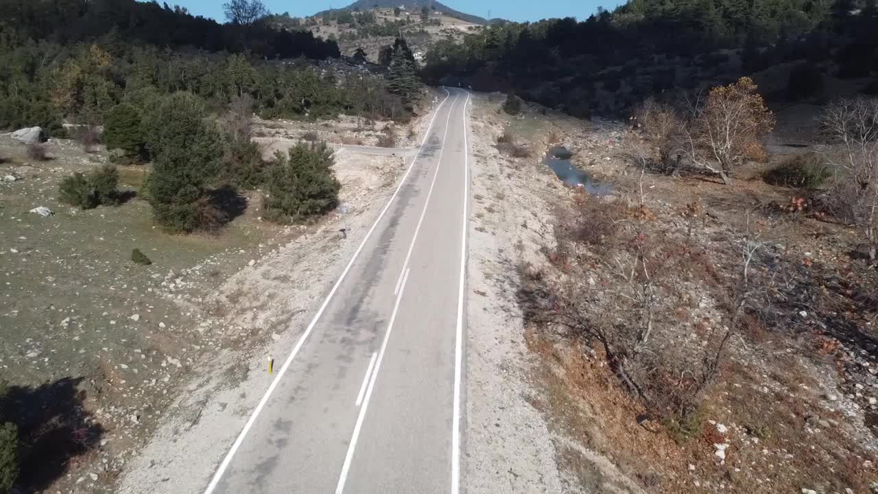 在森林的柏油路上用无人机飞行。视频素材