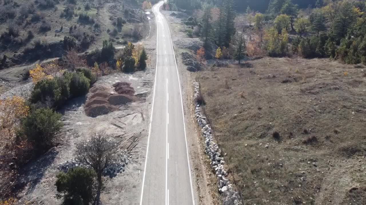 在森林的柏油路上用无人机飞行。视频素材