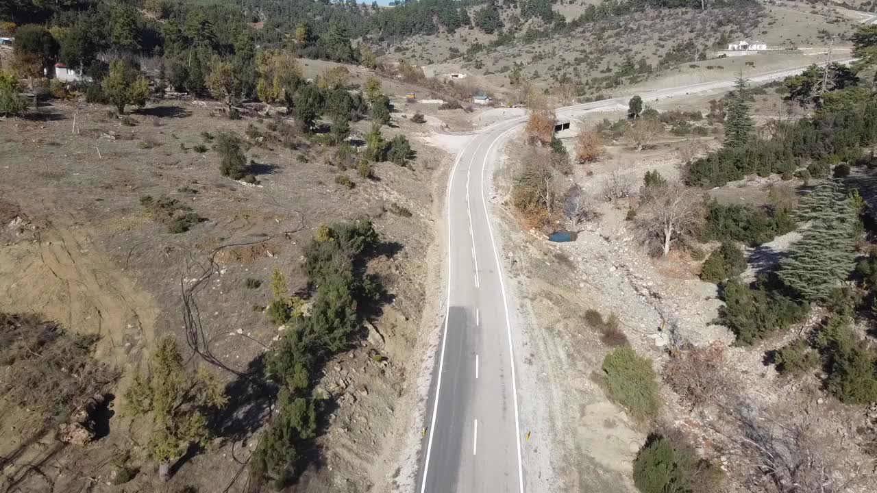 在森林的柏油路上用无人机飞行。视频素材