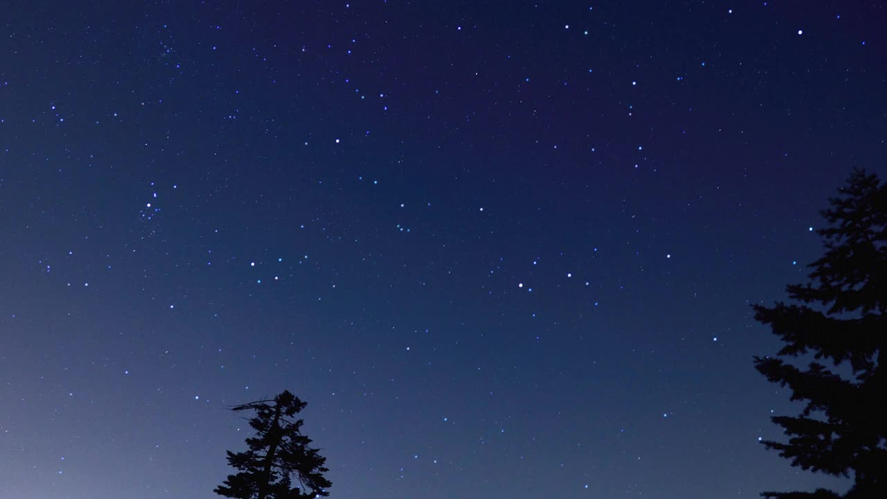 银河闪烁的星星和树的剪影，摇摇晃晃的相机。视频素材