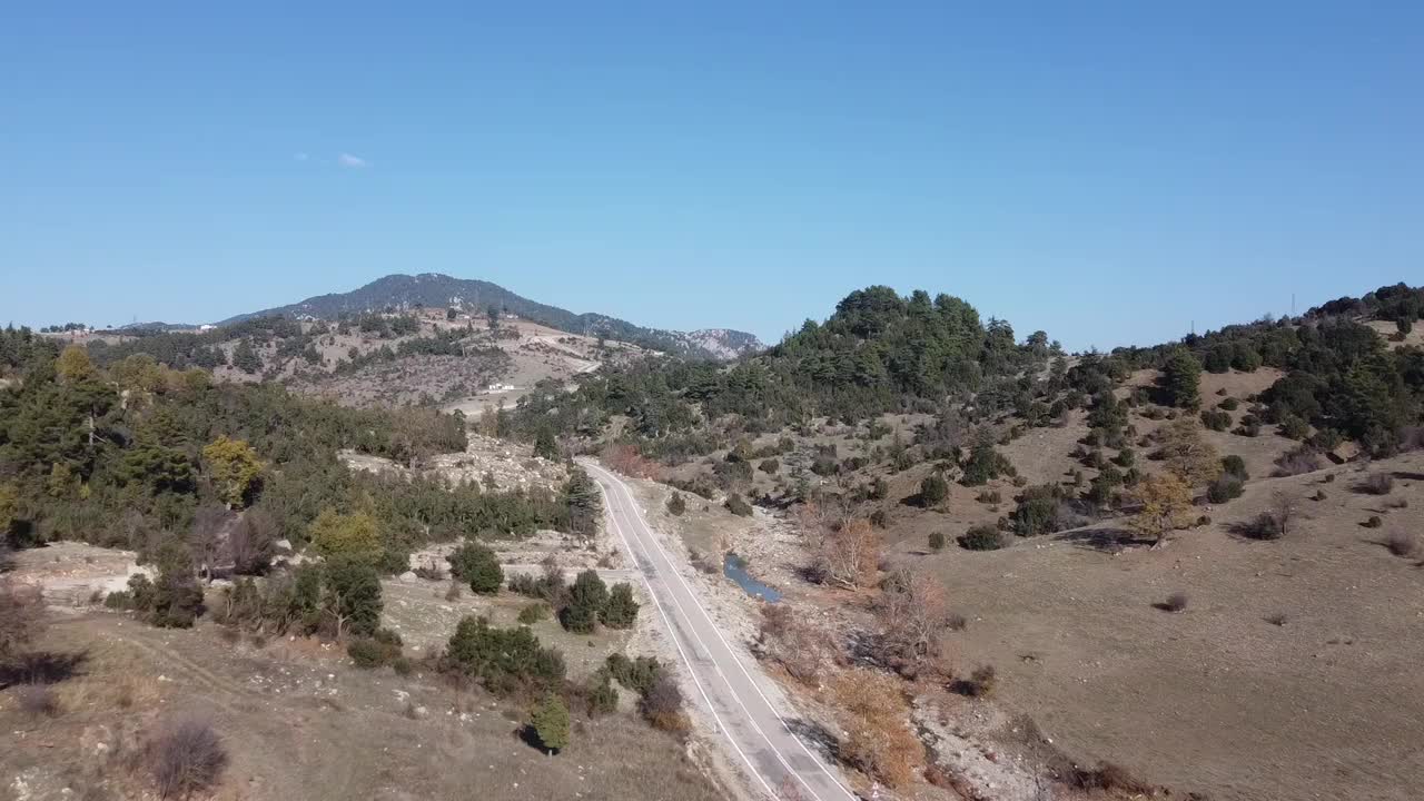 在森林的柏油路上用无人机飞行。视频素材