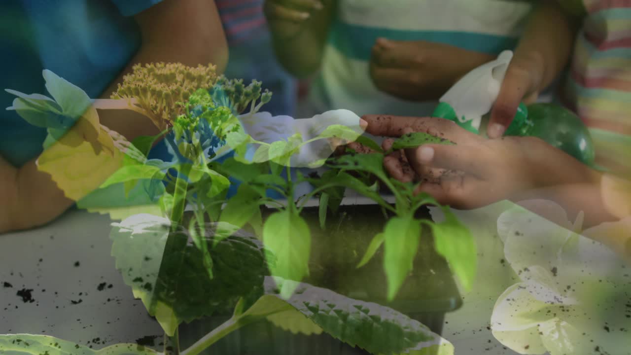 动画的非裔美国家庭园艺超过植物视频素材