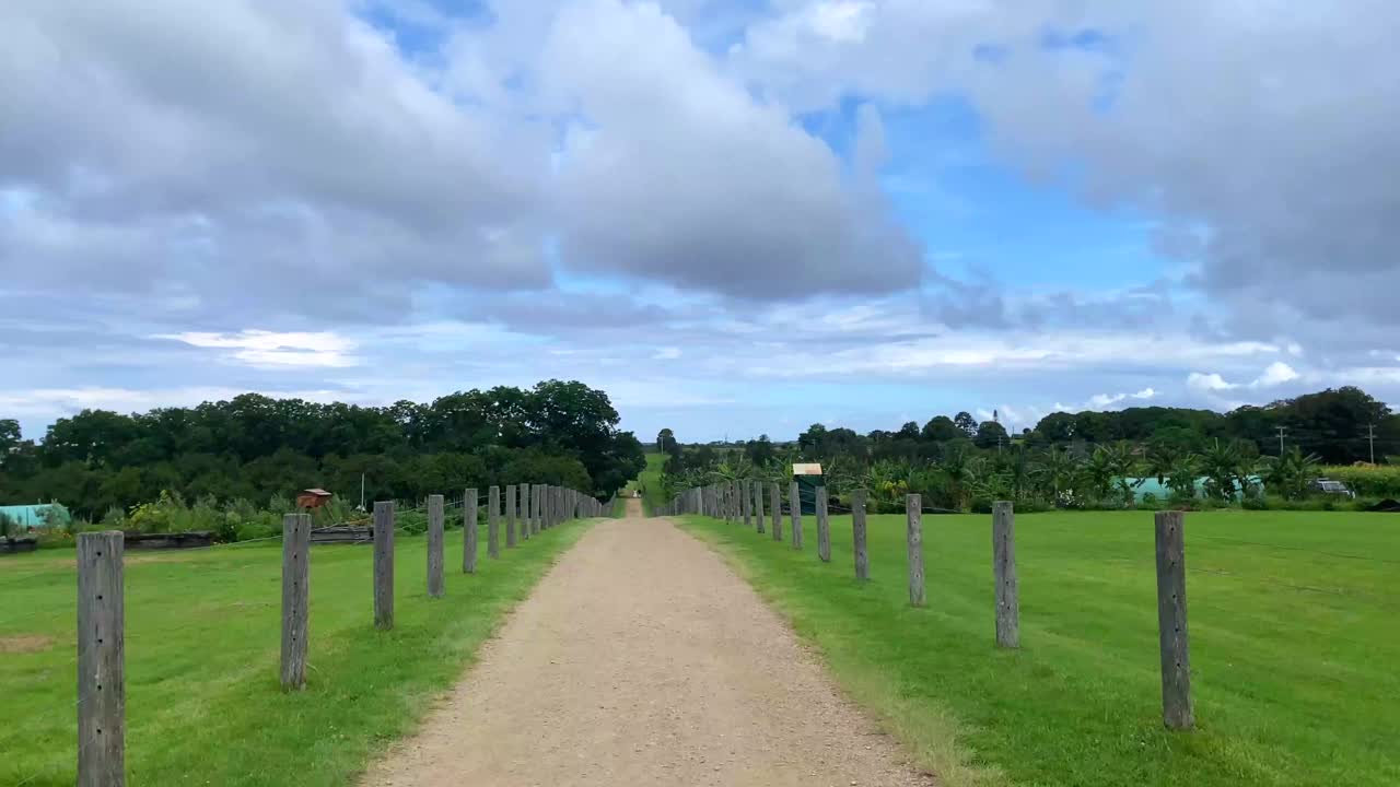 乡村单车道土路视频素材