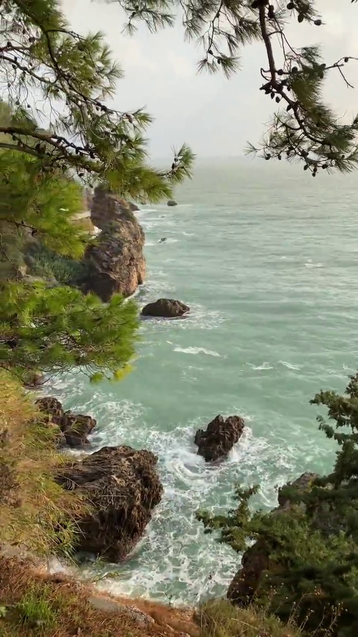 波浪形的海景穿过树林。视频素材