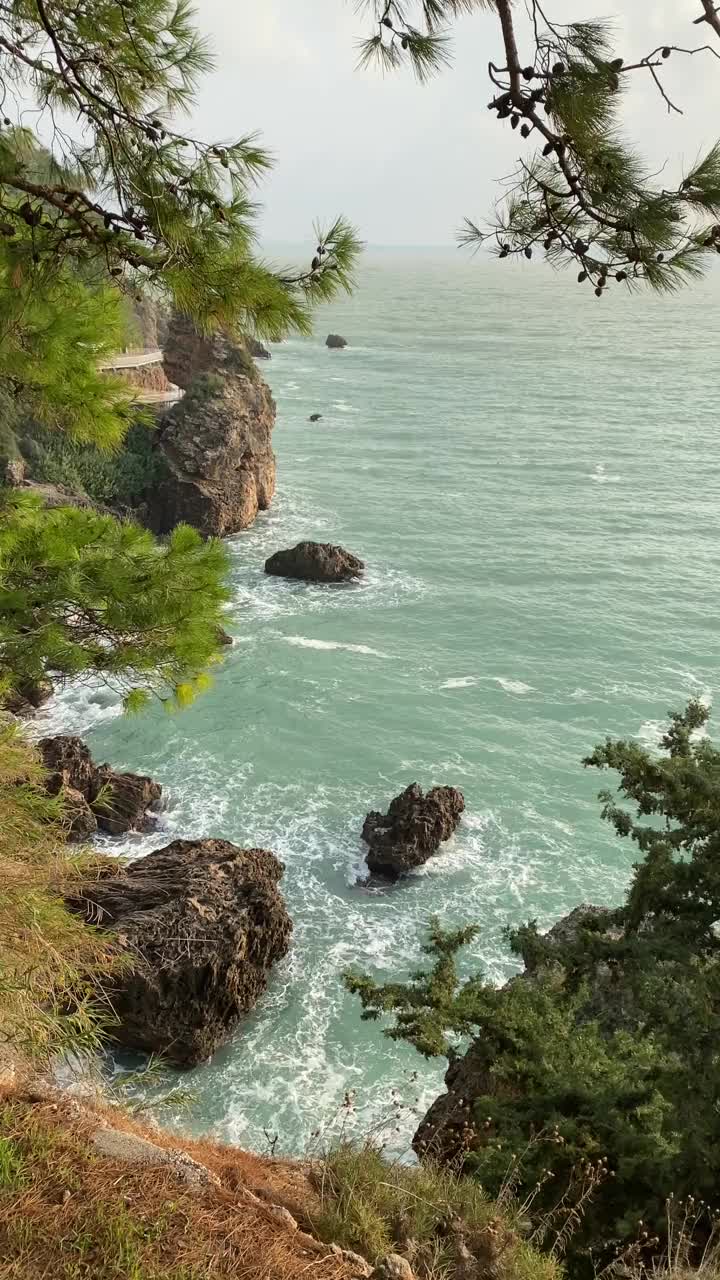 从树后看到波浪形的海景。视频素材