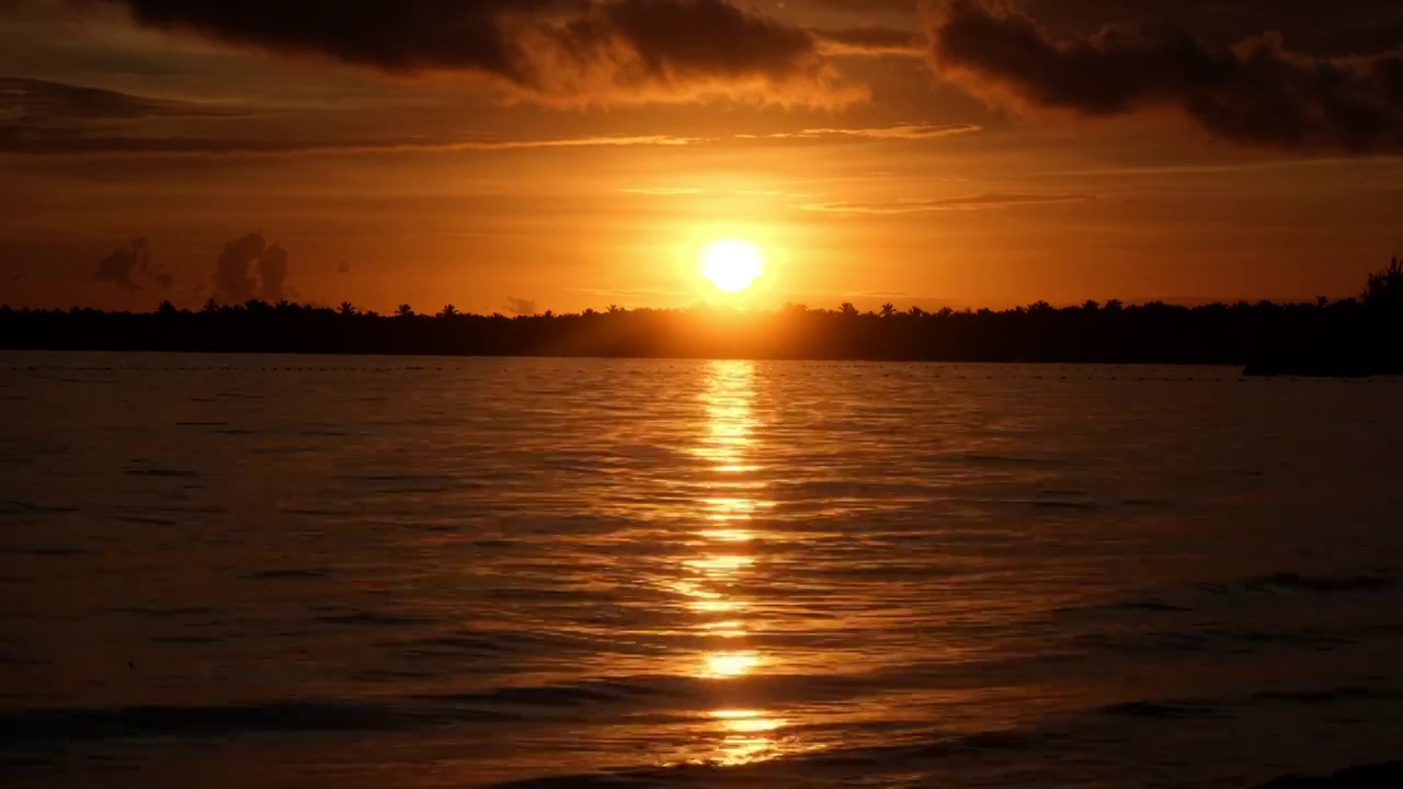 海面上的太阳。棕榈岛海滩上令人惊叹的红色日出。橙色的日出和海浪。大自然的阳光，日出棕榈滩的背景。黄色的天空，海滩上美丽的棕榈树。阳光视频素材