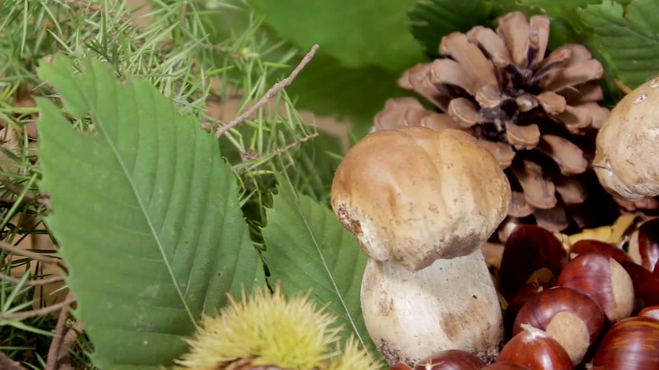 牛肝菌和栗子在秋季组成。美味可口的素食健康食品。视频素材