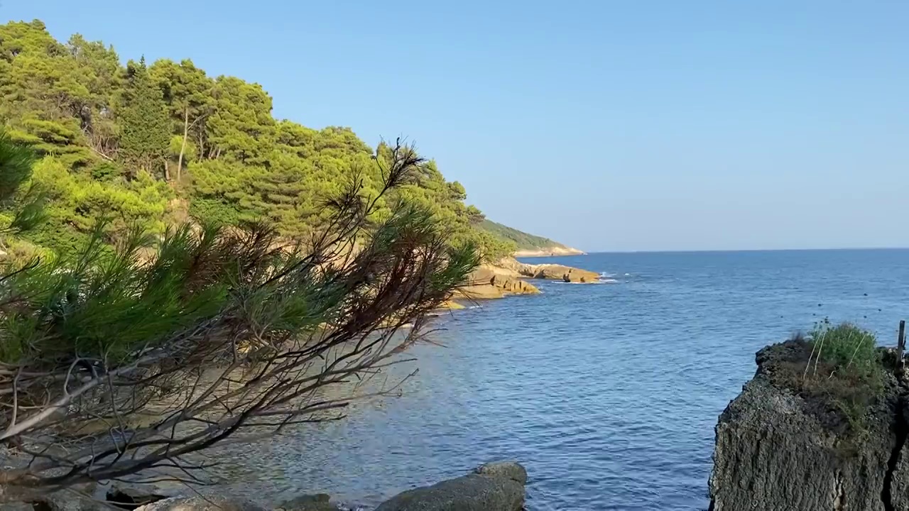 夏日的地中海海景。蓝色的海水。地中海沿岸的松树。晴朗的蓝天。海岸上的针叶林。美丽的黑山亚得里亚海自然风光。禅,放松,冷静。视频素材