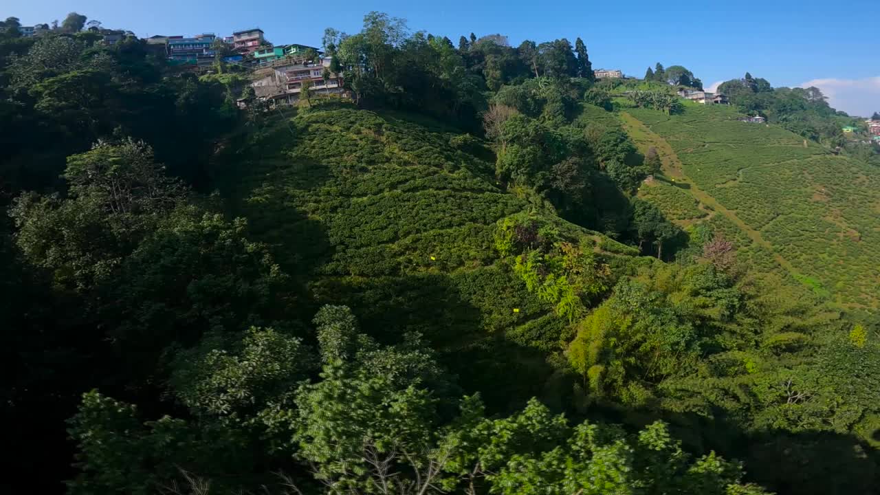 空中拍摄的西孟加拉邦大吉岭的茶园。视频下载