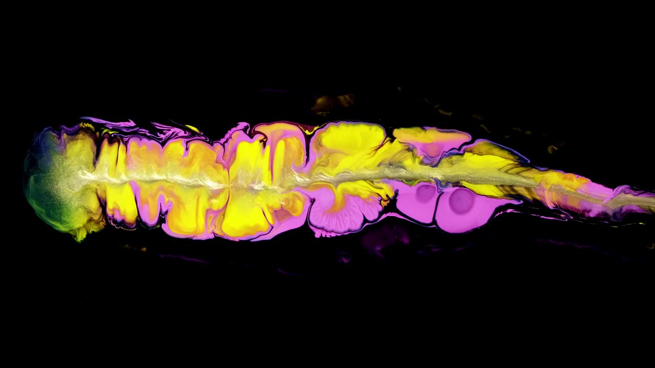 亚克力黄粉效果背景宏观纹理实验色彩运动。黑色背景视频素材