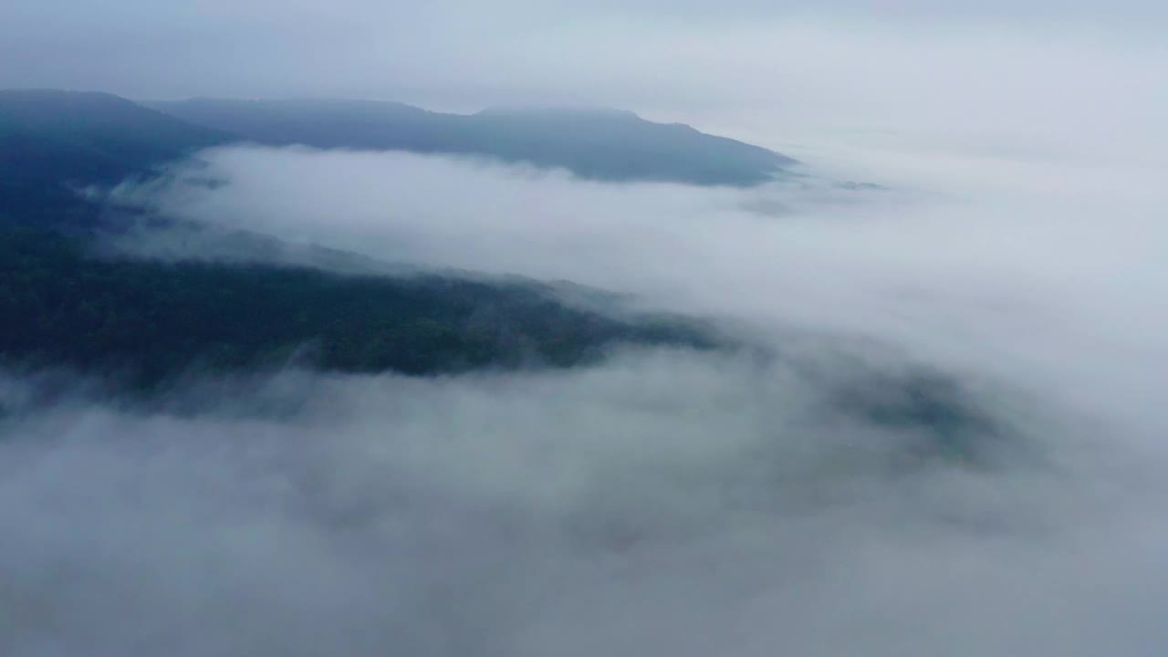 空中美丽的绿色森林在山上，无人机飞行在白色的雾-比辛根，德国视频素材