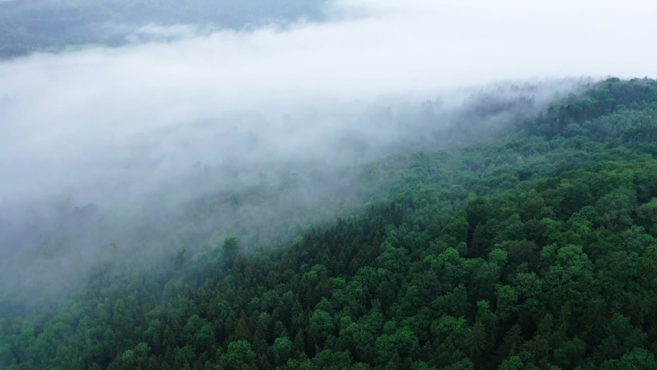 空中前进的美丽的绿色森林在山上，无人机飞行在雾天-比辛根，德国视频素材