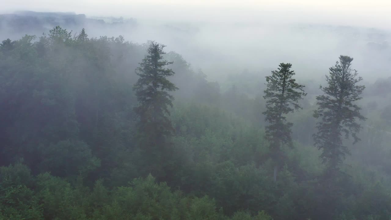 空中美丽的绿色山丘，无人机飞行在风景-比辛根，德国视频素材