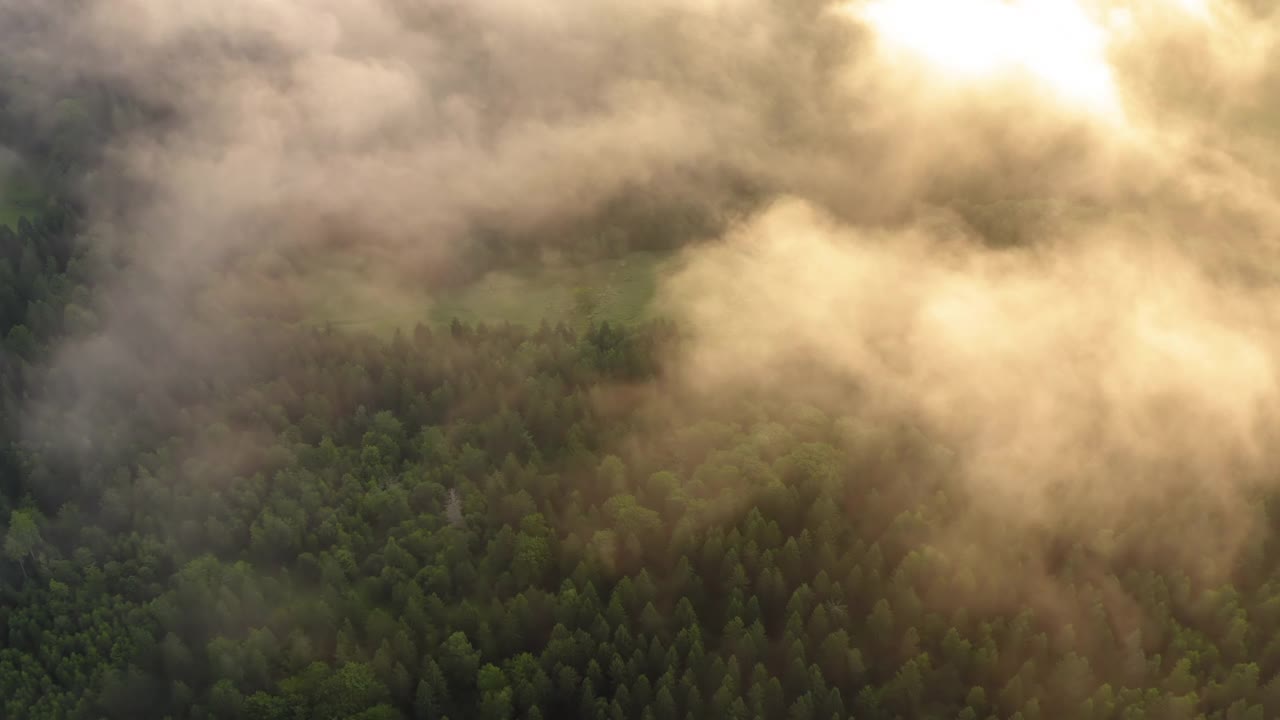 空中向后拍摄的风景照片，日落时云朵在森林中的绿树上移动-图林根州，德国视频素材