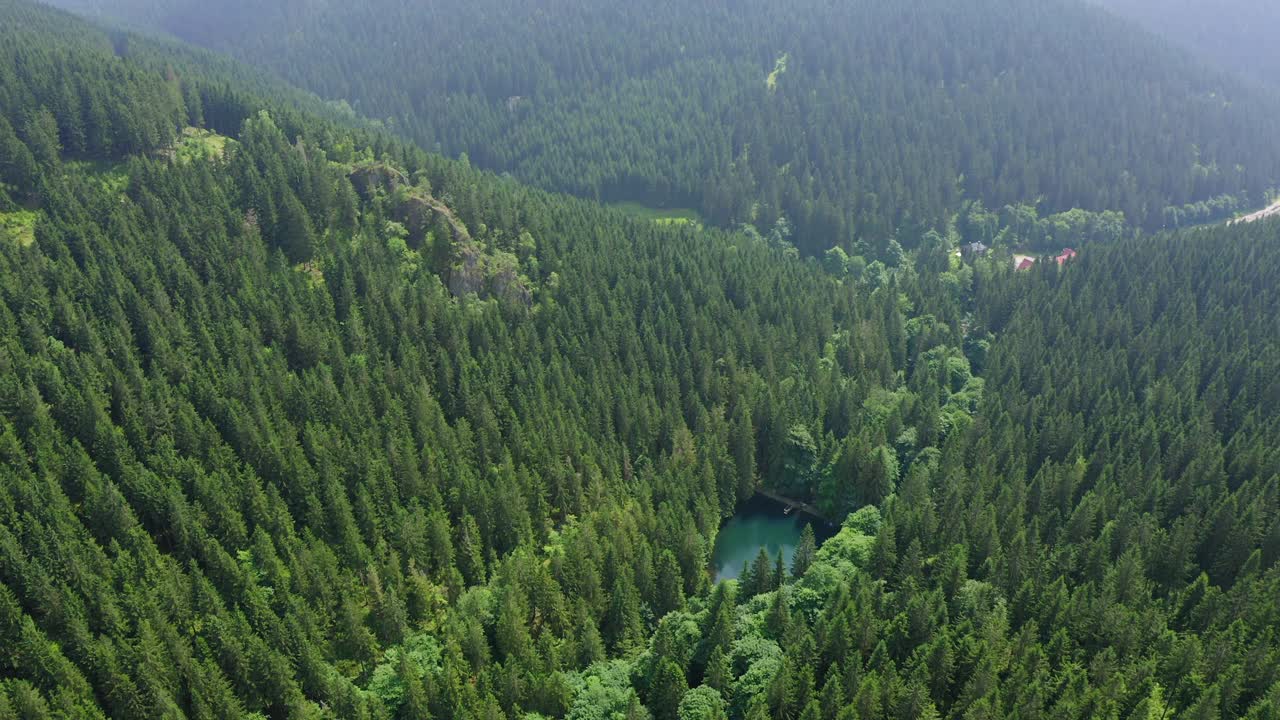 在德国图林根州的山上，鸟瞰森林中宁静池塘的美丽景色视频素材