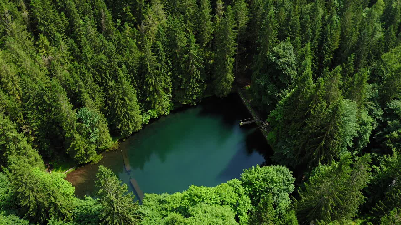 空中风景拍摄池塘绿树中，无人机上升在森林-图林根，德国视频素材