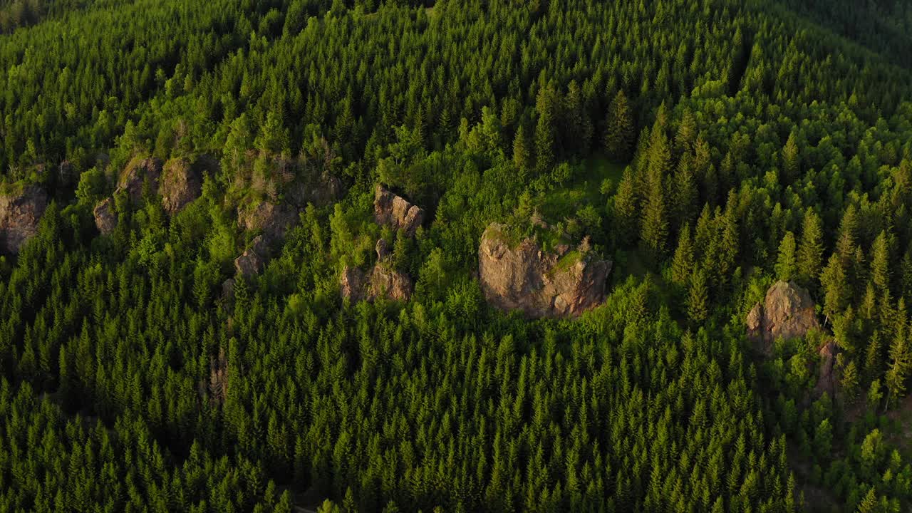 空中下降拍摄美丽的青山森林图林根，德国视频素材