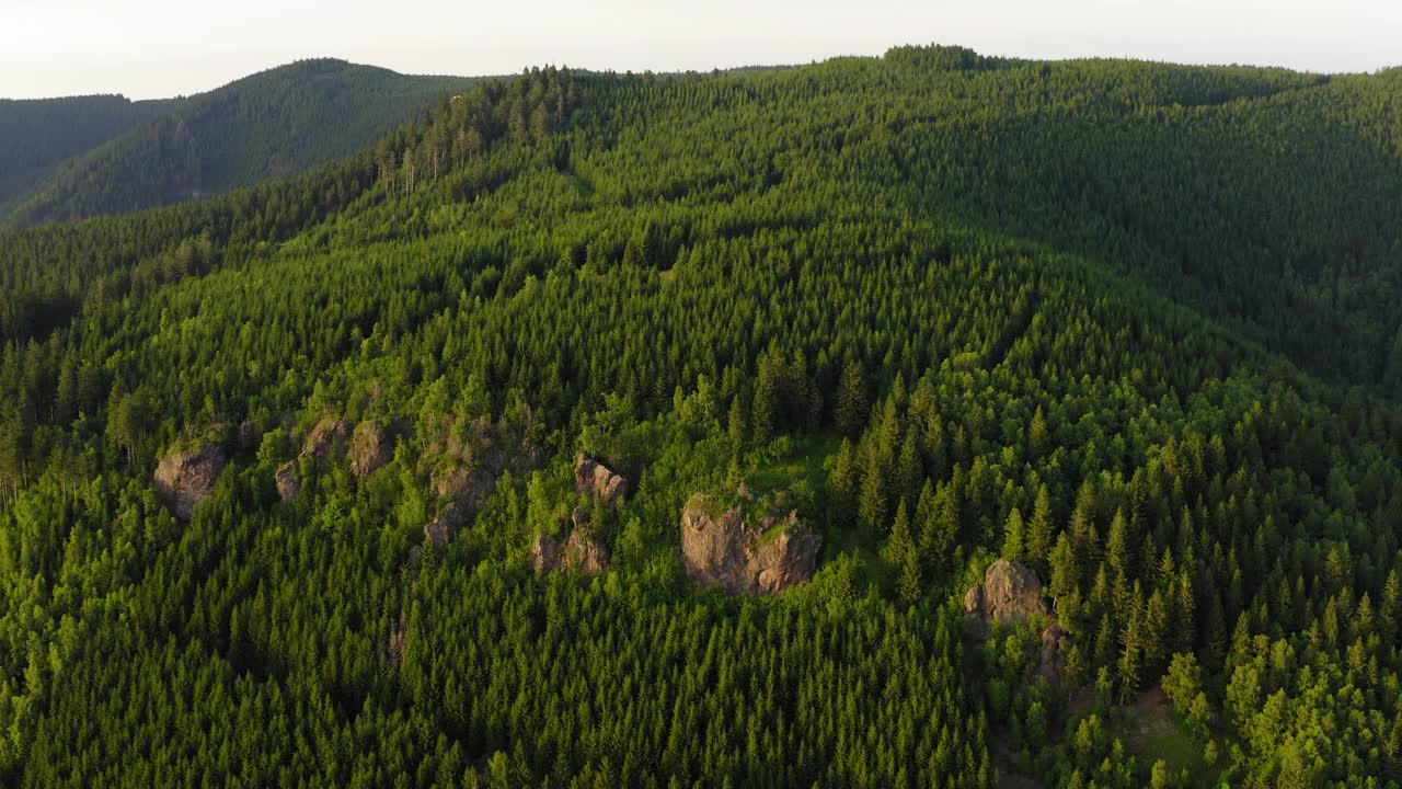 空中风景拍摄的绿色野生森林在山上对着清澈的天空-图林根，德国视频素材