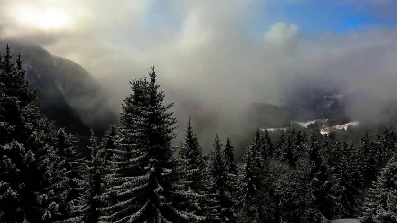 空中前进风景拍摄的冰冻树木在山上森林-萨瓦，法国视频素材