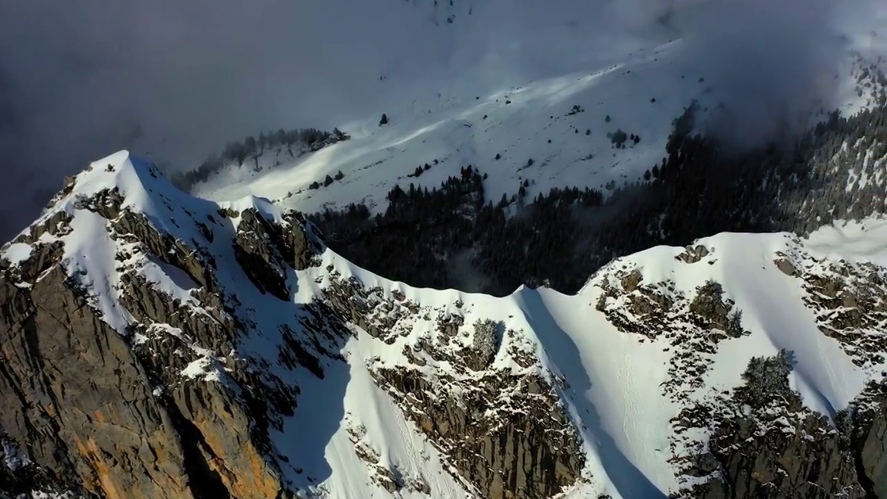 空中平移风景的雪景欧洲阿尔卑斯山与树木-萨瓦，法国视频素材