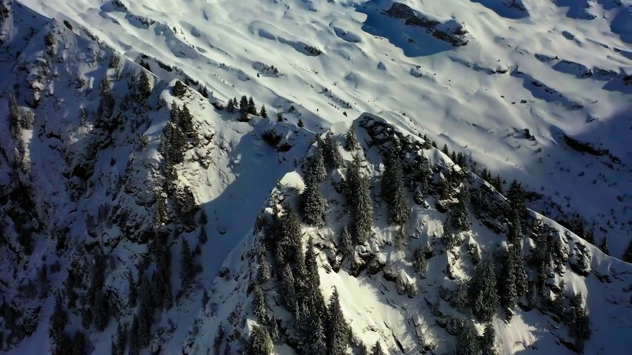 在阳光下，空中平移雪山上树木的美丽景色-法国萨瓦视频素材