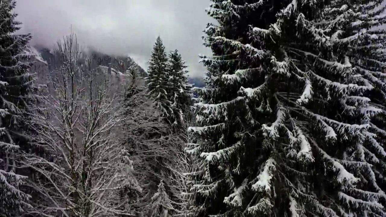 空中向上的风景，雪山上的树木在森林-萨瓦，法国视频素材