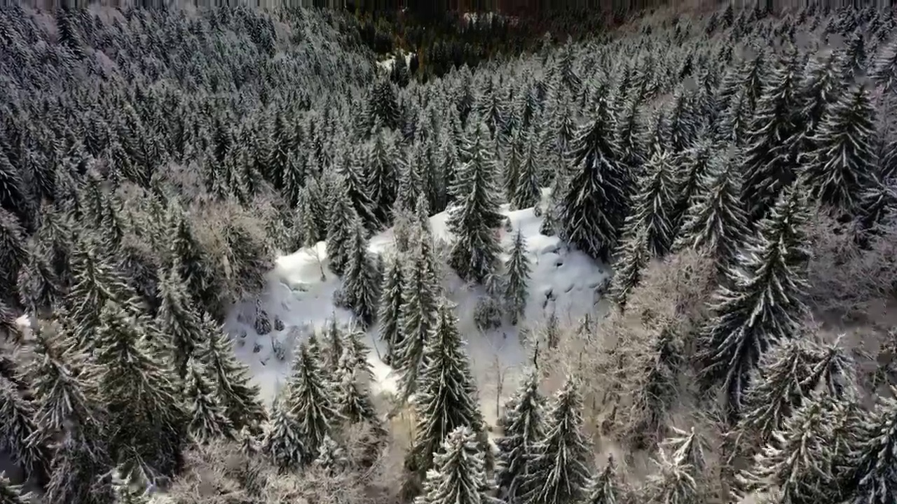 空中风景的野生森林在山上，无人机飞行在冬季向前-萨瓦，法国视频素材