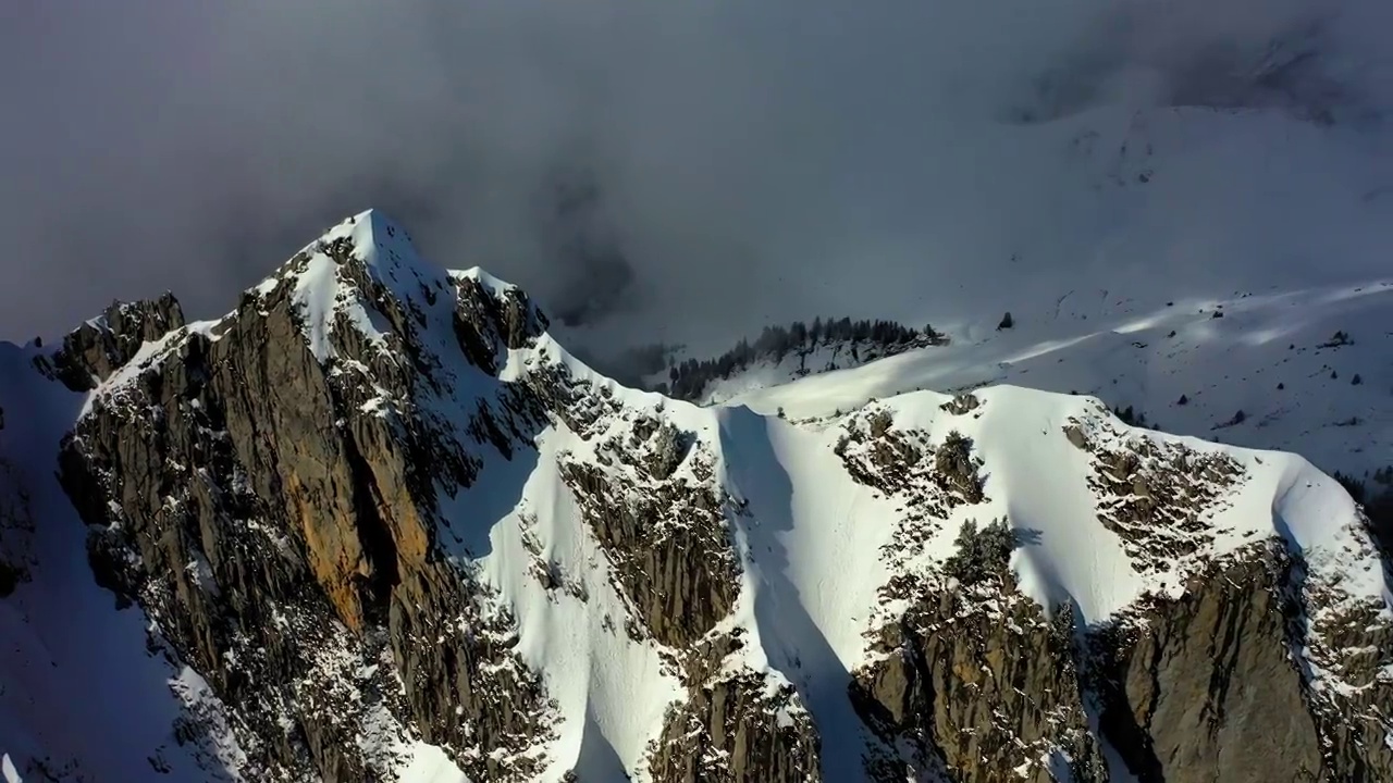 空中平移生长在雪山上的树木，无人机飞行在风景上-萨瓦，法国视频素材