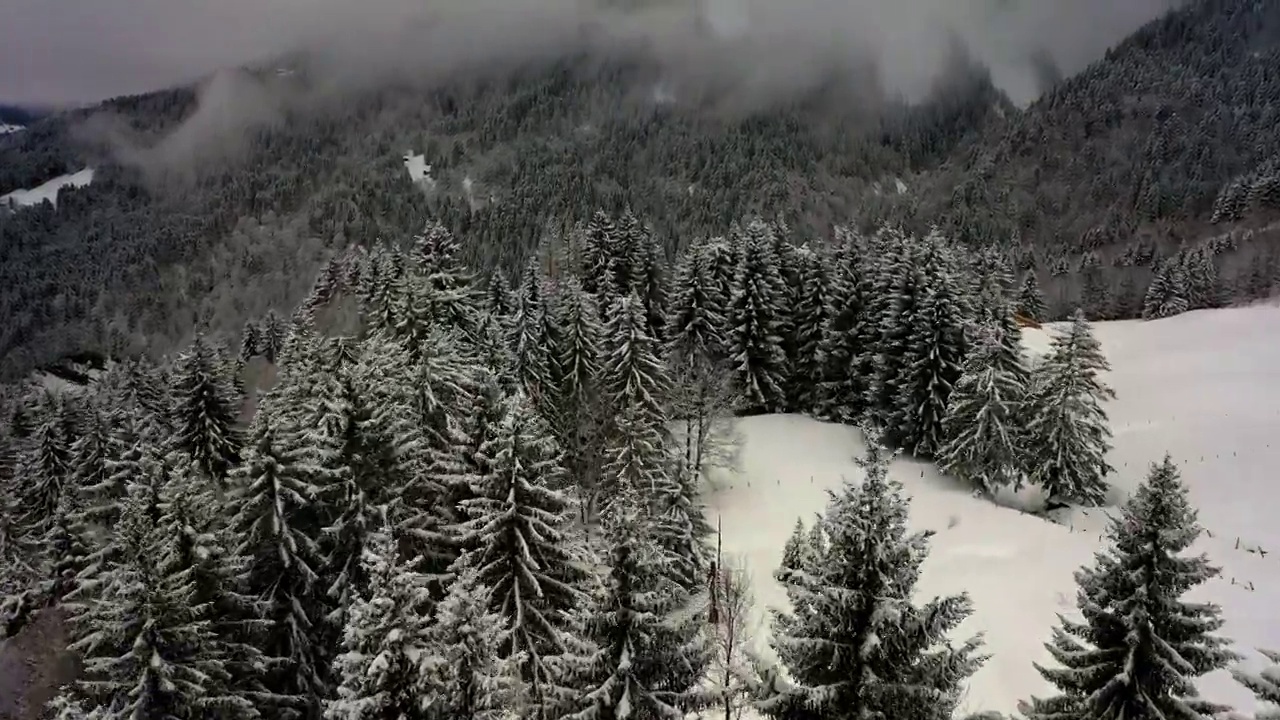 空中向前风景宁静的森林在白色的雪景-萨瓦，法国视频素材