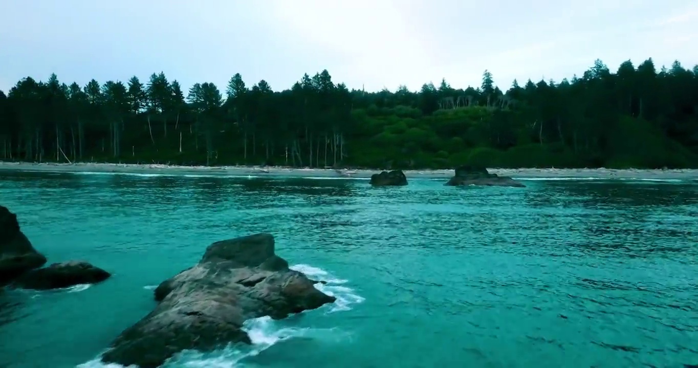 空中平移在海水中岩石的美丽镜头，无人机飞行在海滩景观-红宝石海滩，华盛顿视频素材