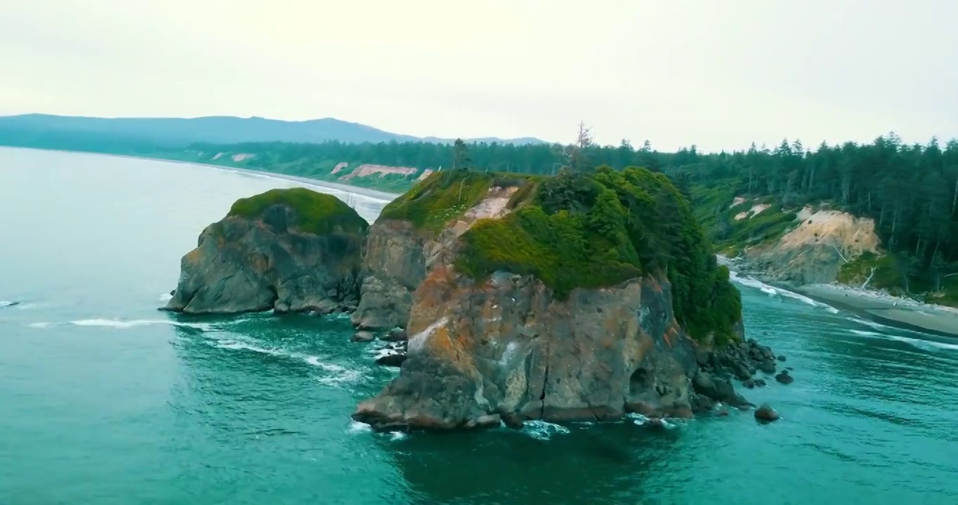 绿色植物在岩石上的空中淘金生长，无人机在海上向前飞行-华盛顿红宝石海滩视频素材