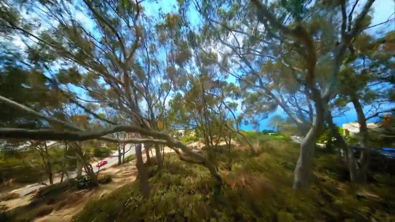 空中美丽的镜头，汽车移动在道路上的房子，无人机飞行在风景-拉霍亚，加利福尼亚视频素材