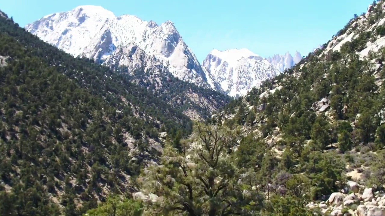 空中风景在山上的雪，无人机飞行在绿色的树木- Sierra，加利福尼亚视频素材