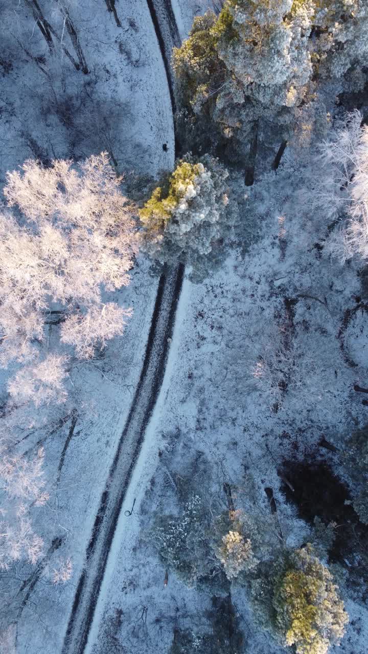 阳光明媚的冬日，鸟瞰图视频下载