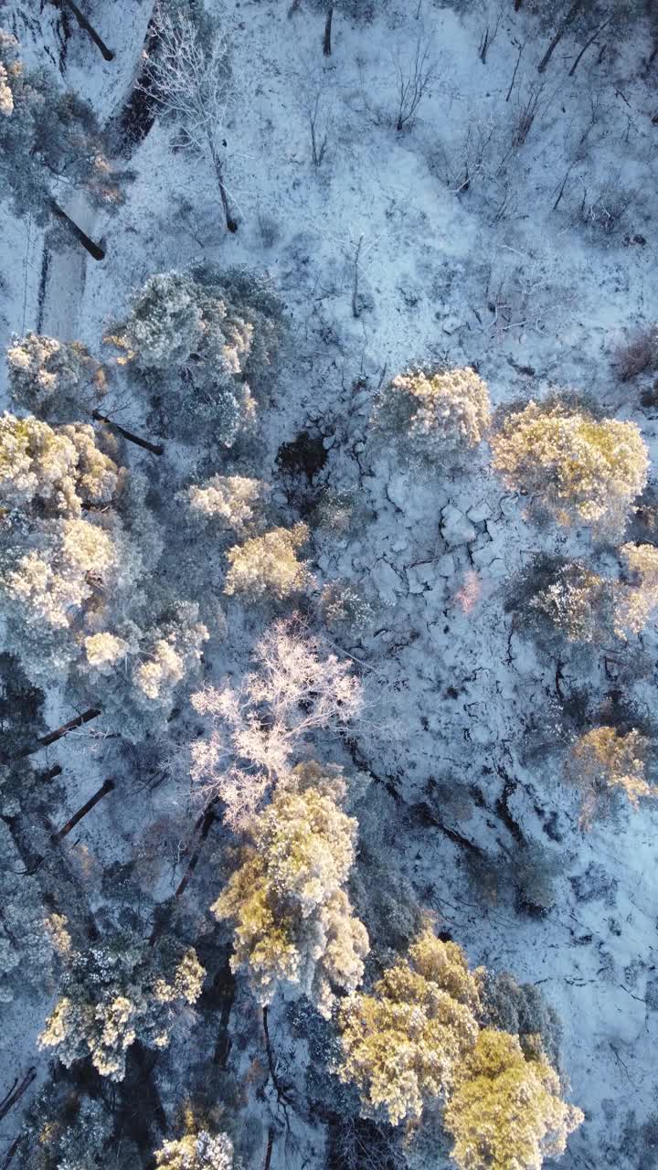 阳光明媚的冬日，鸟瞰图视频下载