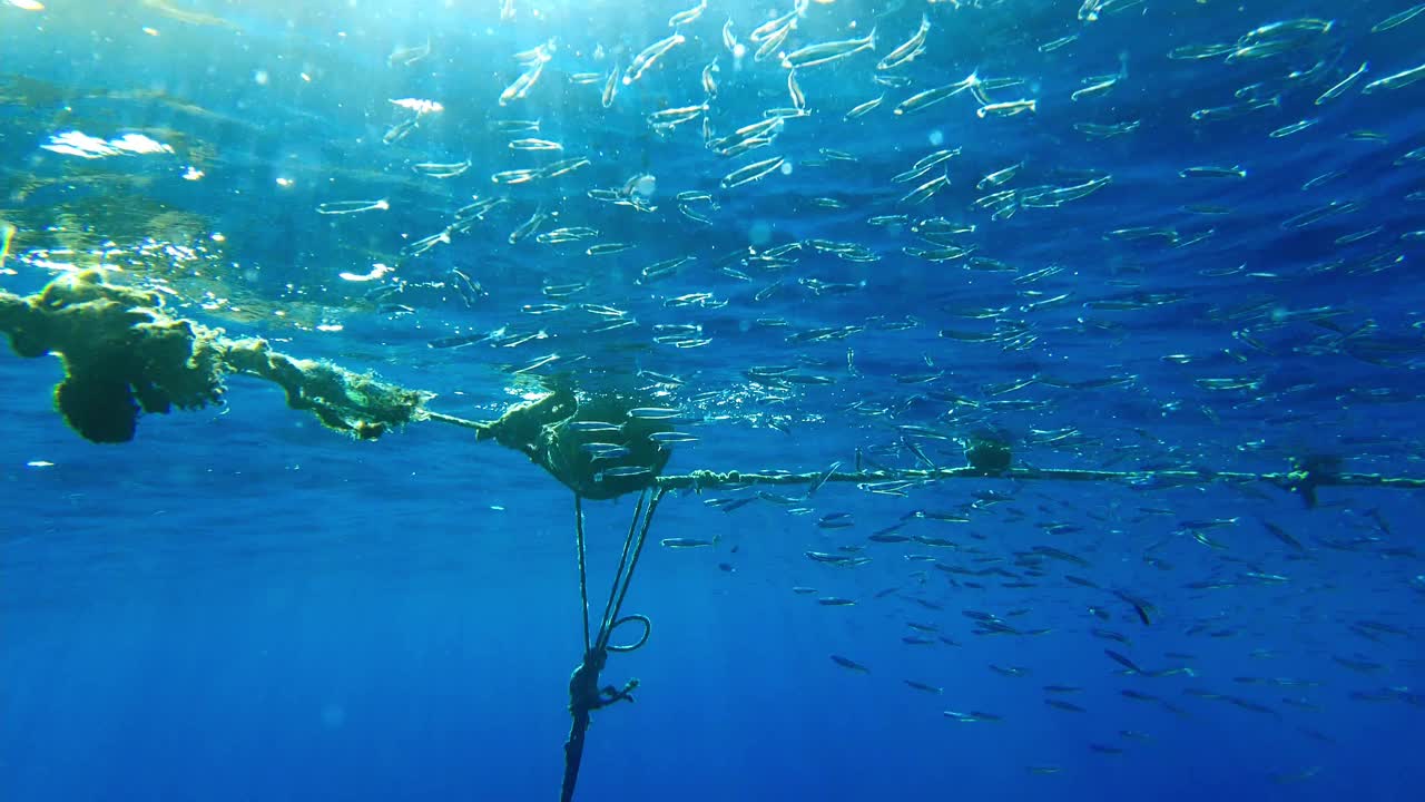 蓝色海水里的阳光视频素材