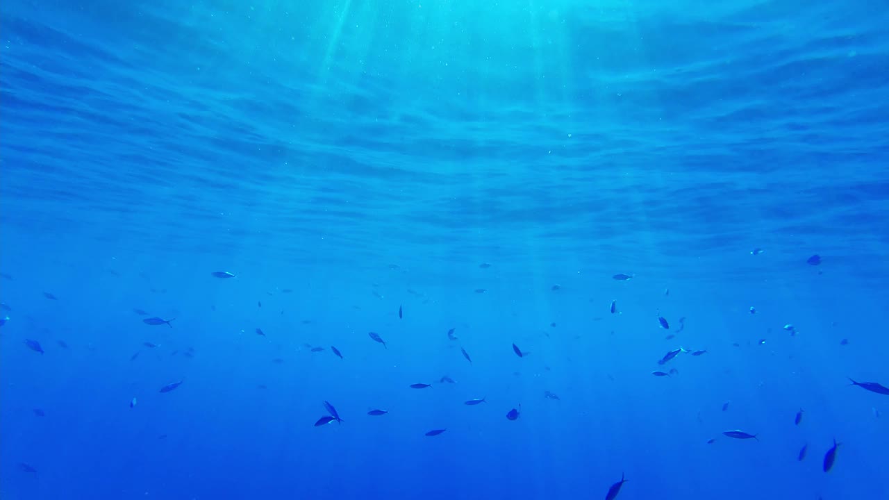 蓝色海水里的阳光视频素材