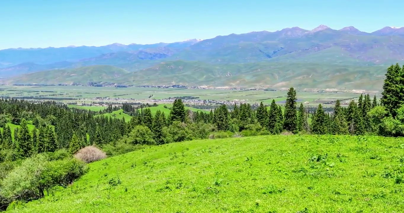 绿草如茵的草原和森林，山川自然景观视频素材