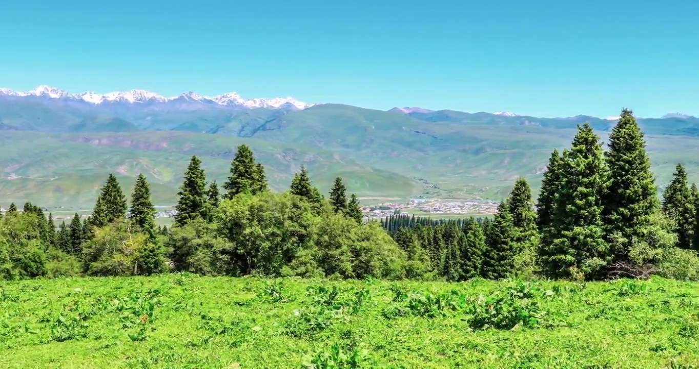 绿草如茵的草原和森林，山川自然景观视频素材