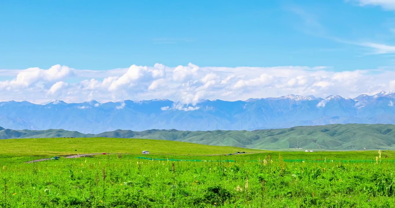 绿色草原牧场景观视频素材