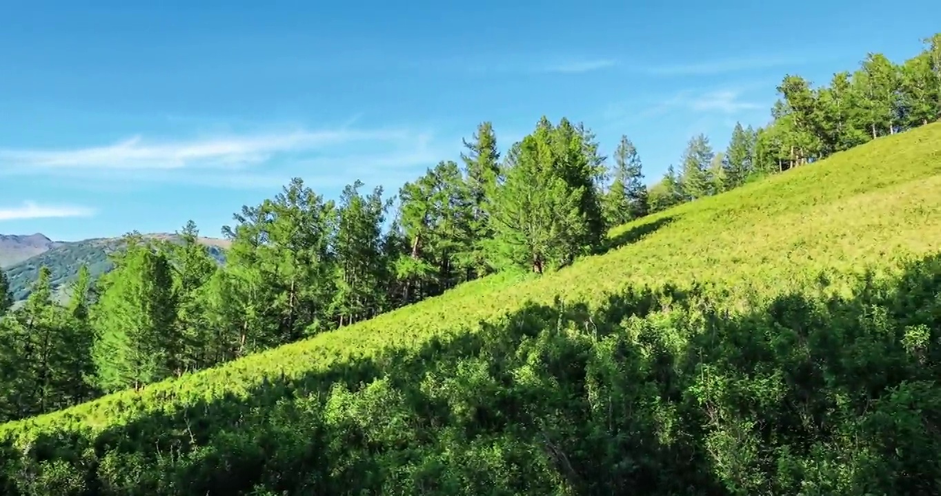 绿色的森林和高山自然景观视频素材