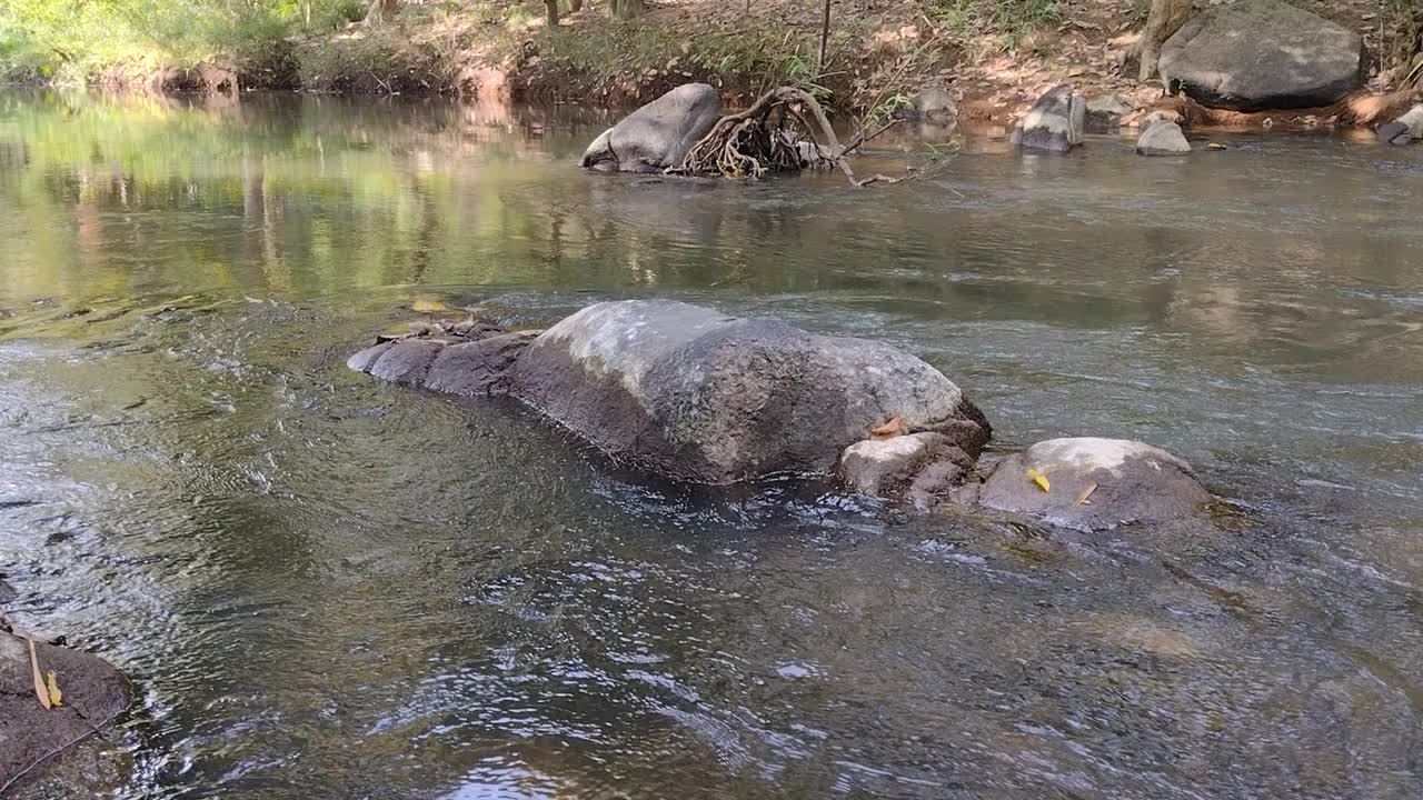 大自然河流瀑布森林阳光早晨。视频素材