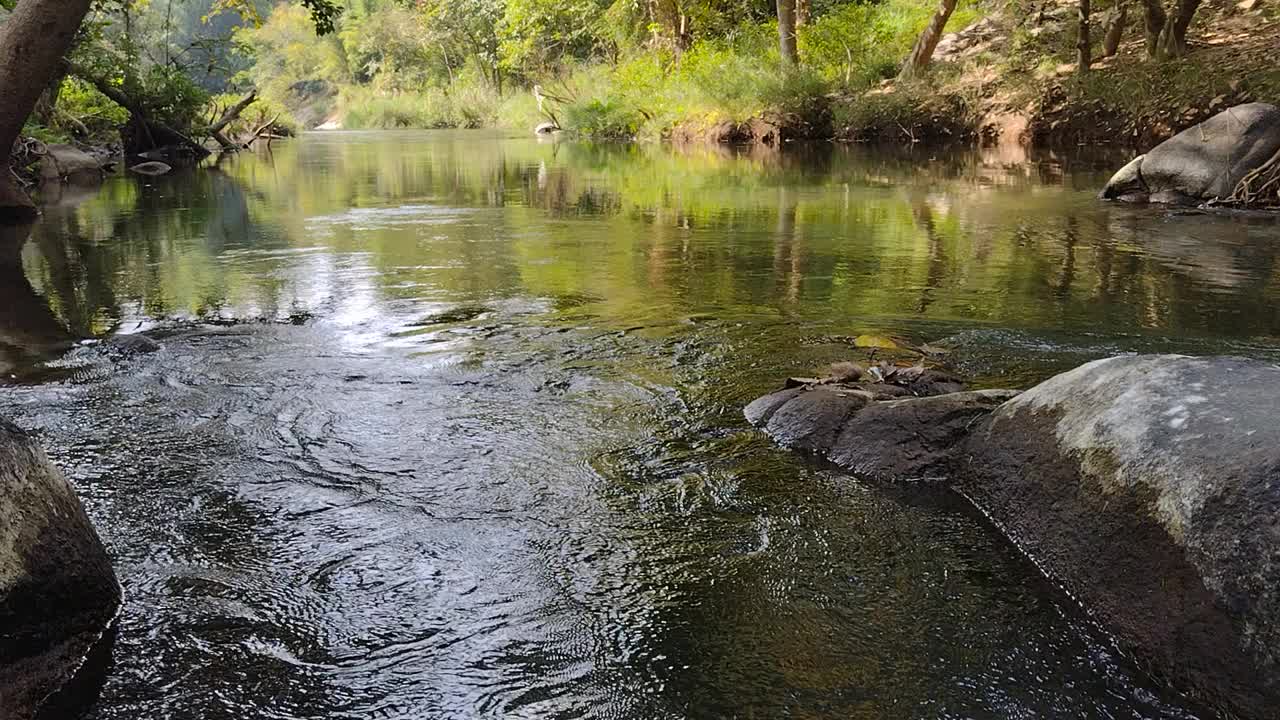 大自然河流瀑布森林阳光早晨。视频素材