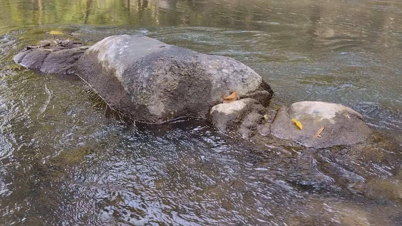 大自然河流瀑布森林阳光早晨。视频素材