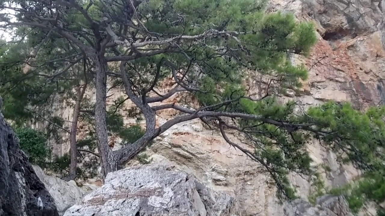 海边的岩石海岸。天然的洞穴。视频素材