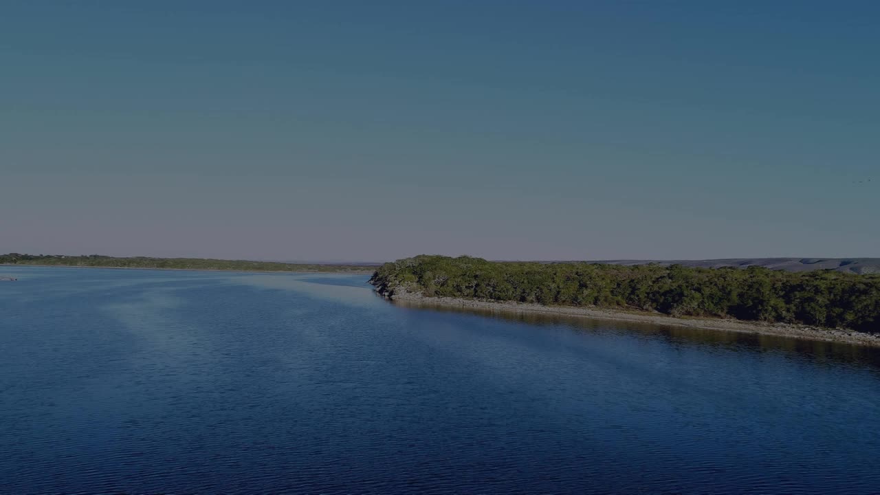 人类大脑在海景上的动画视频素材