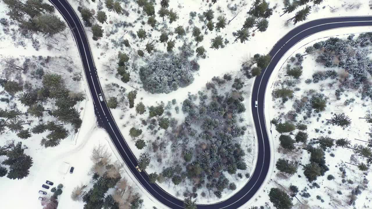 冬季森林中蜿蜒道路的鸟瞰图视频素材