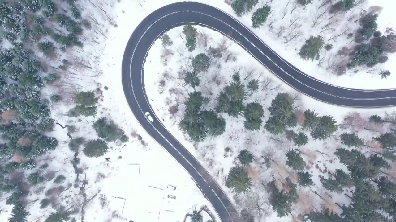 冬季森林中蜿蜒道路的鸟瞰图视频素材