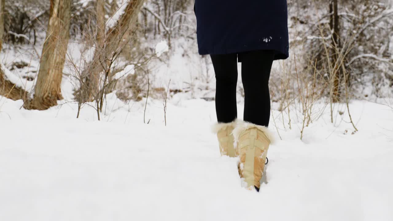 雪中行走的女人视频素材