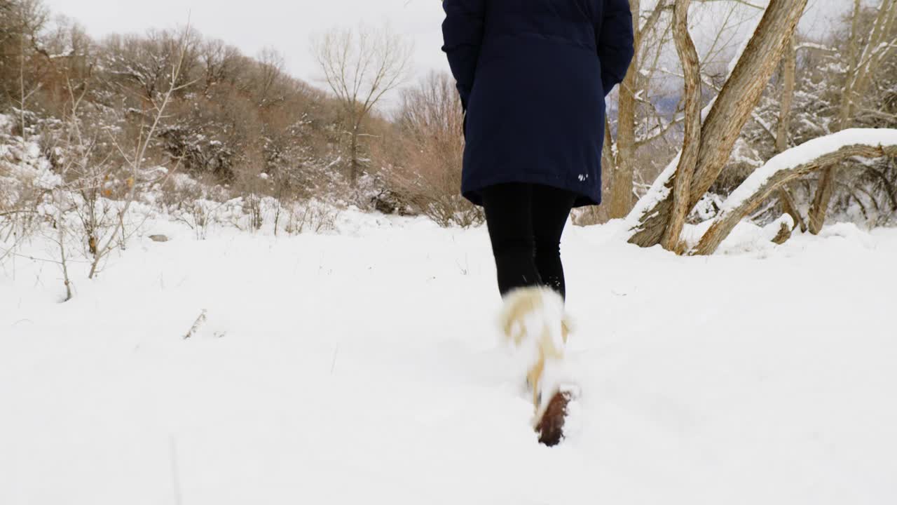 雪中行走的女人视频素材